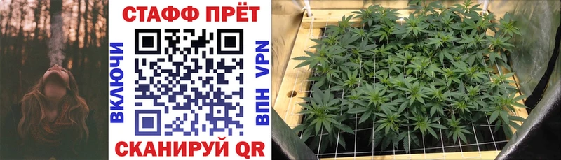 Купить наркотики сайты Новоржев MDMA  Alpha PVP  Амфетамин  Гашиш  Конопля  omg рабочий сайт  КОКАИН  Меф 