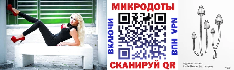 Галлюциногенные грибы мухоморы  Новоржев 